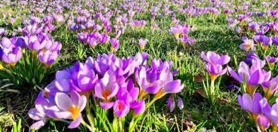 Sonnige 3-Zimmer-Dachterrassenwohnung mit Weitblick, Südseite