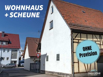 familienfreundliches EFH mit Scheune