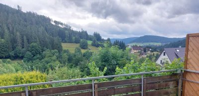 Sonnige 2 Zi-Südhang-Wohnung mit Balkon