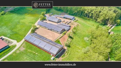 Reitanlage bei Villingen-Schwenningen mit lukrativer PV-Anlage, zwei Reithallen in traumhafter Lage!