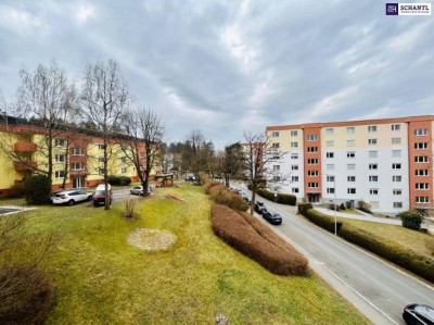 SENSATIONELLES ANGEBOT! 89 m² GRÜNE Wohnfreude + Gratis Parken = Ihre perfekte Eigentumswohnung in Graz! Vereinbaren Sie jetzt Ihren Besichtigungstermin