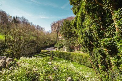 Absolute Premiumlage: Im Villenviertel nähe Kreuzbergpromenade