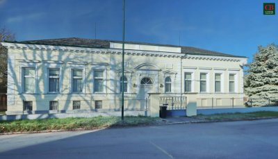 HERRENHAUS MIT VIEL ELEGANZ UND GROSSEM POTENTIAL !!!
