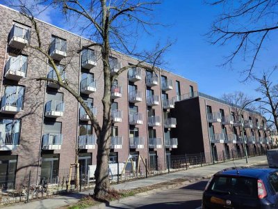 Großes 1-Raumapartment zur Miete in Potsdam Bornstedt - Wentzel Dr. -