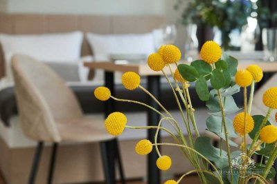 Charmante 1-Zimmer-Ferienwohnung in Baabe auf Rügen