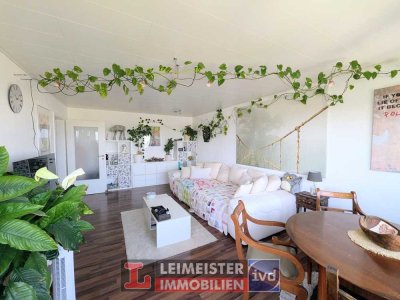 TOLLE PENTHOUSE - WOHNUNG MIT BLICK AUF DEN SEE IN KAHL AM MAIN