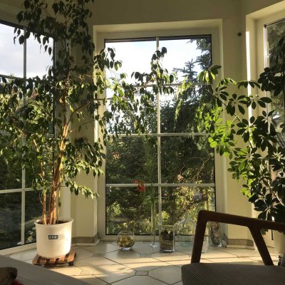 Helle Einliegerwohnung im faktisch allein genutzten Einfamilienhaus mit Garten; 25 min bis zum Alex