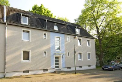 2 Zimmer Wohnung im Erdgeschoss und Duschbad