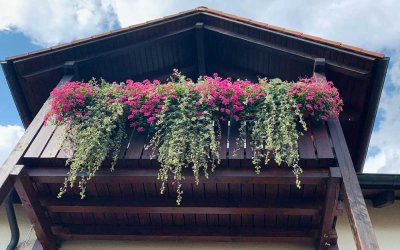 Helles und gemütliches Domizil über den Dächern