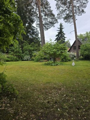 4-Zimmer- Wohnung mit großem Balkon, Gartennutzung und Garage in Frohnau