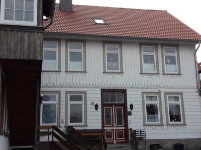 1,5-Zimmer-Singlewohnung in Bad Harzburg