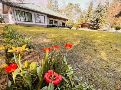 Wohnen: Bungalow in Alleinlage mit Garage & Einliegerwohnung im Grünen auf 2.161 qm GST im Grünen
