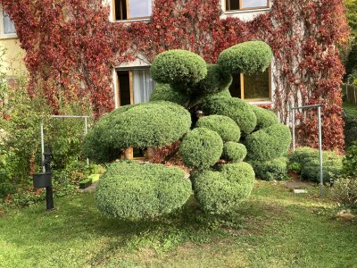 Vermiete 2-Zimmer/Küche/Bad-Wohnung im Ziegenhainer Tal in Jena