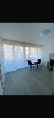 Möblierte 1ZKB Wohnung in Ludwigshafen Süd