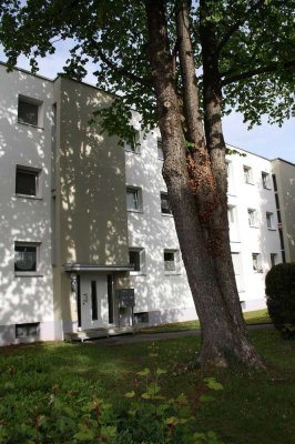 Top renovierte 3-Zimmer-Wohnung mit sonniger Loggia