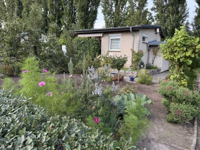 Erholungsgarten P15 mit Bungalow Nähe Glindowsee (Werder-Havel)