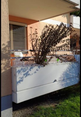 Helle2-Zimmer Erdgeschosswohnung mit Loggia