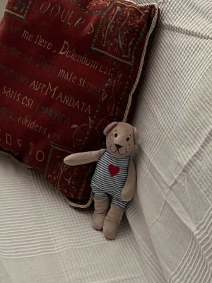 Möblierte 3 Zimmer Wohnung mit Balkon in Koblenz-Horchheim