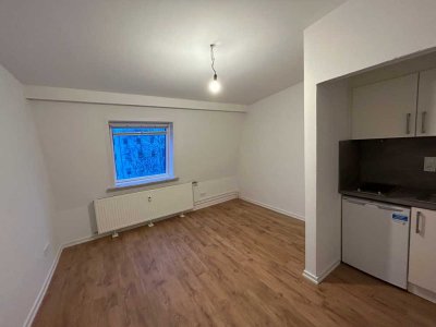 Modernes 1-Zi- Appartement  in Hohenfelde