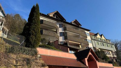 Panoramalage Bad Liebenzell
