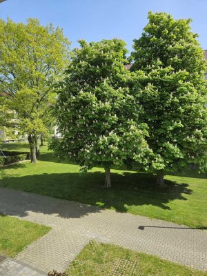 NEU renovierte schöne 3-Zimmer-Wohnung mit Balkon in Hemmingen Arnum