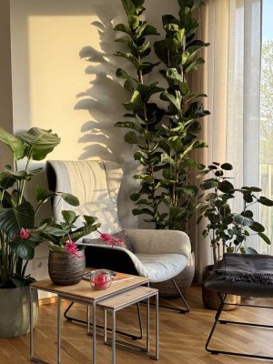 Luxuriöse teilmöblierte 4-Zimmer Wohnung im 1. OG in Dresden - direkt an der Elbe