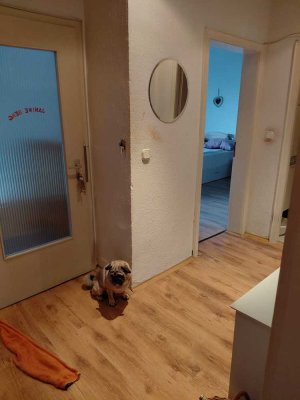 Renovierungsbedürftige 2 Zimmerwohnung im Zentrum von 41061 Mönchengladbach