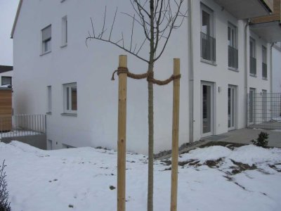 3-Zimmer Gartenwohnung zu vermieten!