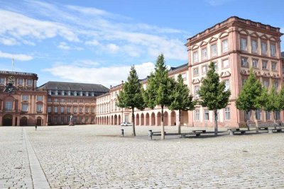 Kleines Studentenapartment mit Dachterrasse in Mannheim, nähe Schloss