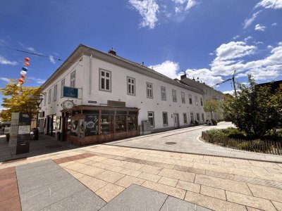 Für Citylover, Singles und Verliebte! Charmante Stadtwohnung mit großer Innenhof-Terrasse | Wohn-Schlafraum &amp; Küche | Hohe Räume | Großzügige Lagerfläche