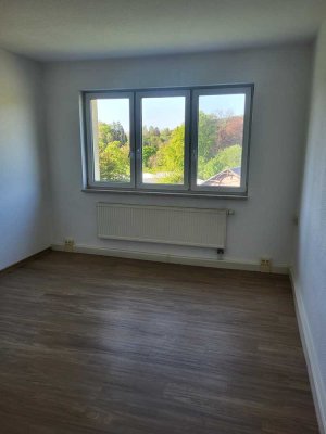 Renovierte helle 1-Raum-Wohnung mit Blick ins Grüne