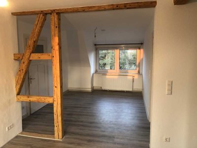 Freundliche und sanierte 2-Zimmer-DG-Wohnung in Uelzen