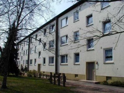 Renovierte 3,5-Zimmer-Wohnung mit Balkon