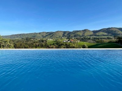Einfamilienhaus 120 m² inkl. 10.000 m² Weingarten und 2 veräußerbare Parzellen Bauland (Alleinlage mit Infinity-Pool)