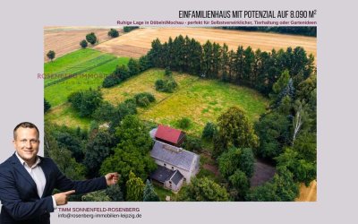 Renovierungsbedürftiges Einfamilienhaus mit großem Grundstück in Döbeln