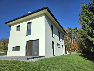 Neubau Einfamilienhaus mit Vor- und Nachteilen!