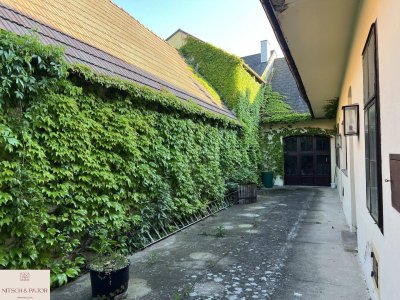 Charmantes Winzerhaus mit geschichtsträchtigem Weinkeller und Rohdachboden - Gumpoldskirchen
