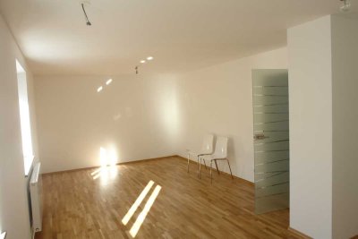 Single Wohnung! Renovierte 2 Zimmerwohnung mit offener Küche, Parkett und Gemeinschaftsterrasse!