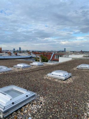 Exklusive 2,5 Zimmer-Dachgeschosswohnung über den Dächern Neuköllns - Dachterrasse & Einbauküche