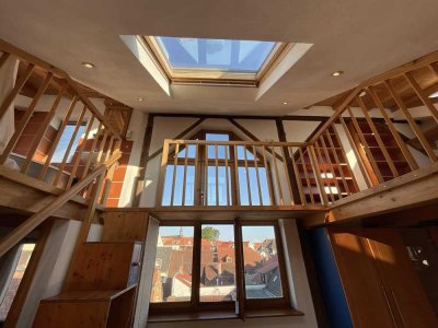 Helle Loft-/Studiowohnung mit Domblick, Balkon und besonderem Charme in Speyer
