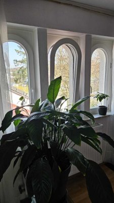 3-Zimmer Wohnung mit Garten im Steinbergviertel in Darmstadt