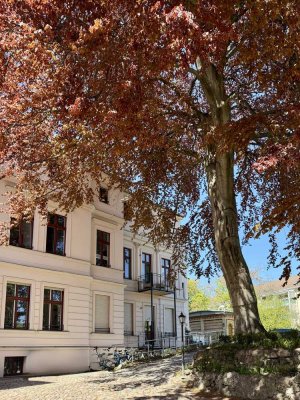 Sanierter Altbau: Ruhige 4-Zimmer-Dachterrassen-Wohnung in der Jägervorstadt