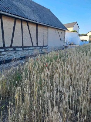 Landgut Michels in Polch