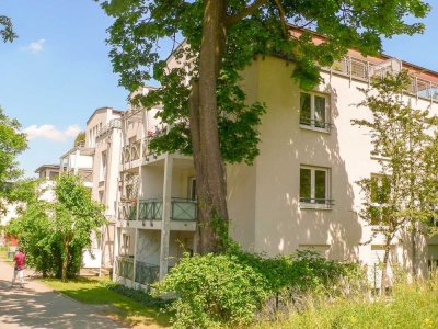 Dachterrassenwohnung direkt an der TU Dresden