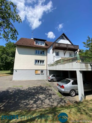 Frisch Sanierte 2 Zimmer Wohnung, Engen - Neuhausen