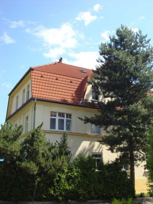 Charmante 3 Zimmer - Altbau mit Wintergarten in Nied.-Planitz