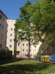 Gut geschnittene 3-Zimmer-Wohnung