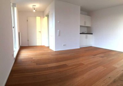 Moderne 1-Zimmer Wohnung in Kaiserslautern Innenstadt, ca. 33 m²