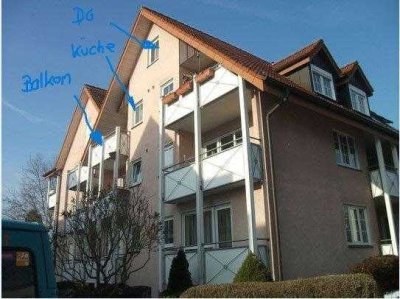 HUSCH HUSCH INS KÖRBCHEN