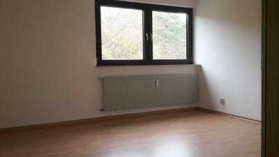 Renovierte 3-Zimmer-Wohnung mit Balkon in Homburg